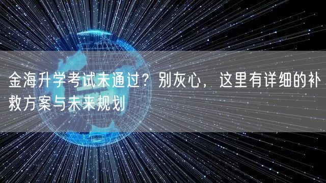 金海升学考试未通过？别灰心，这里有详细的补救方案与未来规划