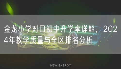 金龙小学对口初中升学率详解，2024年教学质量与全区排名分析