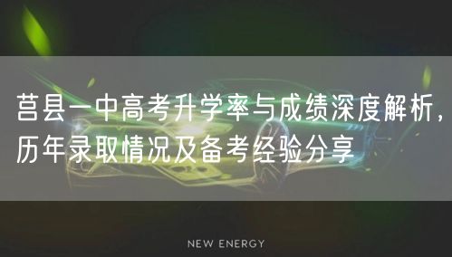 莒县一中高考升学率与成绩深度解析，历年录取情况及备考经验分享