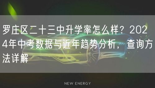 罗庄区二十三中升学率怎么样?2024年中考数据与近年趋势分析,查询方法详解 罗庄区二十三中升学率怎么样?2024年中考数据与近年趋势分析,查询方法详解
