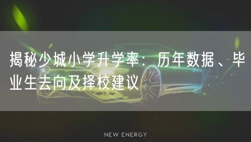 揭秘少城小学升学率:历年数据、毕业生去向及择校建议 揭秘少城小学升学率:历年数据、毕业生去向及择校建议