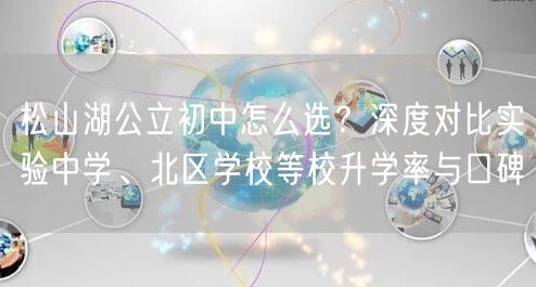 松山湖公立初中怎么选？深度对比实验中学、北区学校等校升学率与口碑