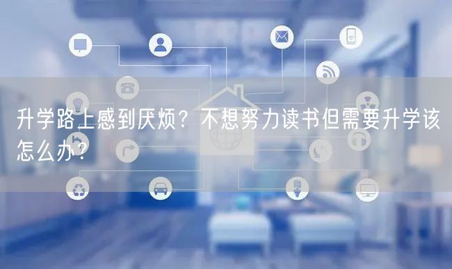升学路上感到厌烦?不想努力读书但需要升学该怎么办? 升学路上感到厌烦?不想努力读书但需要升学该怎么办?