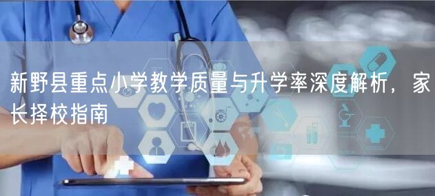 新野县重点小学教学质量与升学率深度解析,家长择校指南 新野县重点小学教学质量与升学率深度解析,家长择校指南
