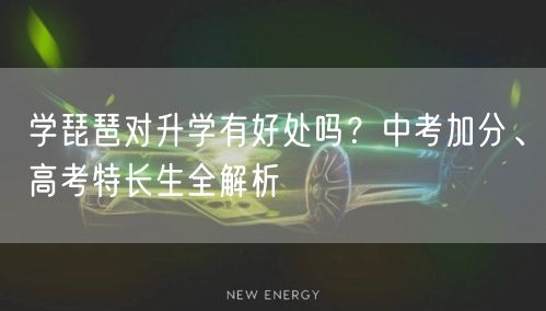 学琵琶对升学有好处吗？中考加分、高考特长生全解析