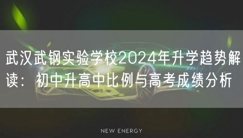 武汉武钢实验学校2024年升学趋势解读:初中升高中比例与高考成绩分析 武汉武钢实验学校2024年升学趋势解读:初中升高中比例与高考成绩分析