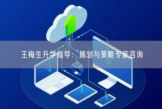 王梅生升学指导:规划与策略专家咨询 王梅生升学指导:规划与策略专家咨询