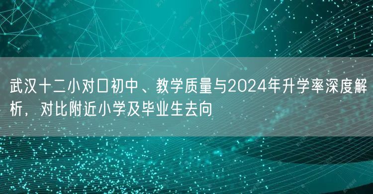 武汉十二小对口初中、教学质量与2024年升学率深度解析，对比附近小学及毕业生去向
