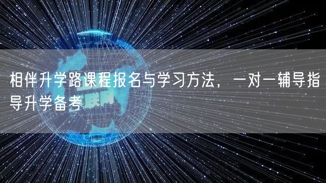 相伴升学路课程报名与学习方法，一对一辅导指导升学备考